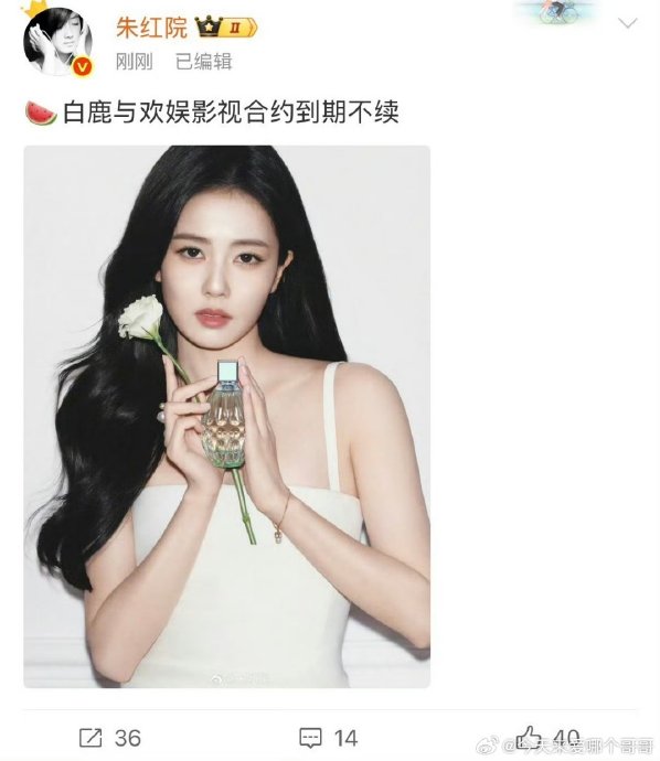 白鹿续约欢娱对她未来发展有什么影响？