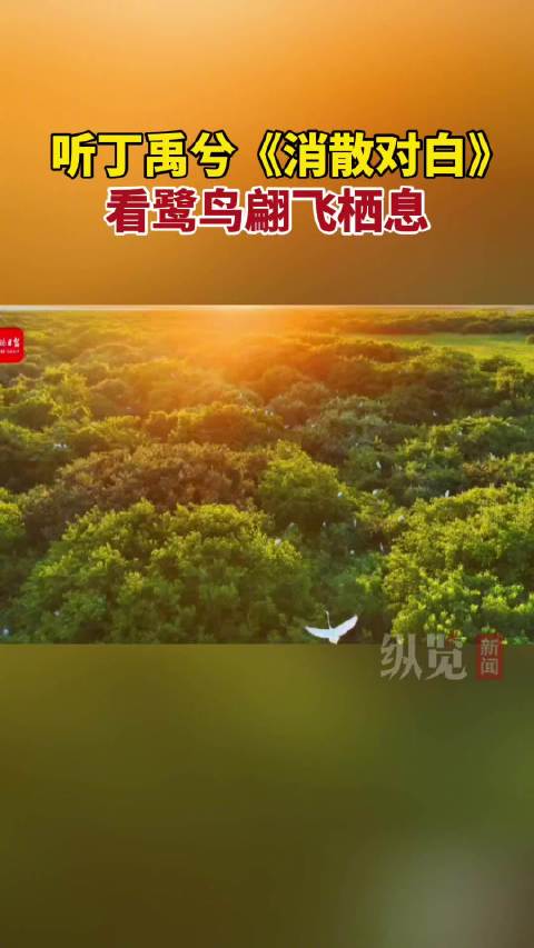 听丁禹兮消散对白赴落日之约