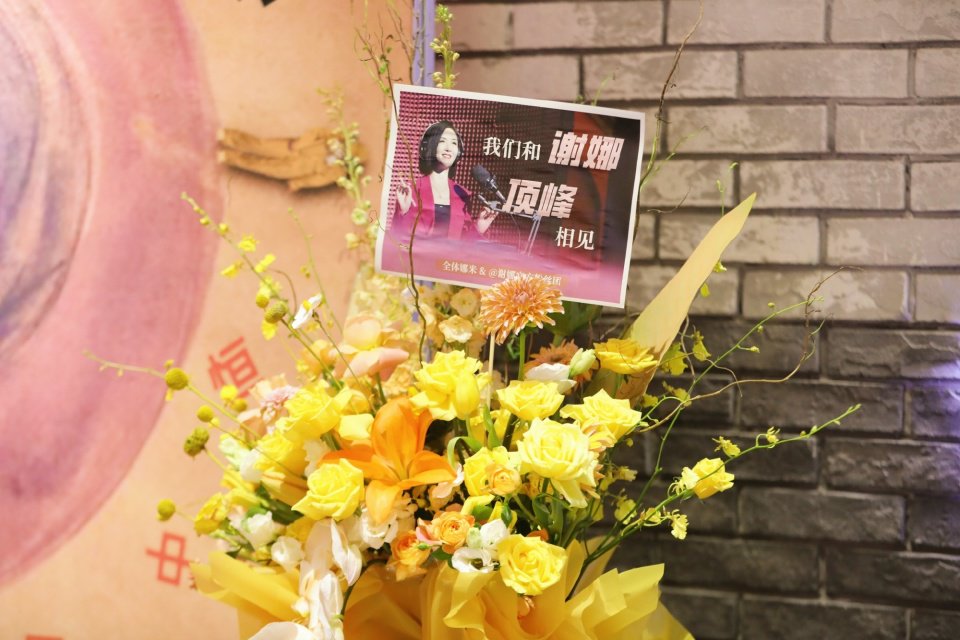 谢娜北京演唱会确定取消，当梦想开始变味，这或就是必然的结果！