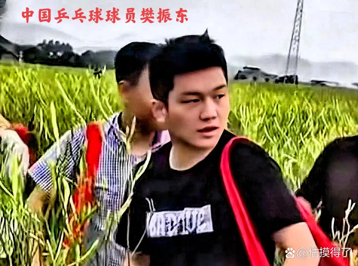 樊振东,出生于广东省广州市,祖籍...@估摸得了的动态