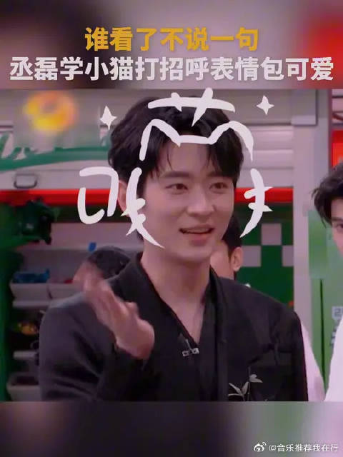 谁看了不说一句丞磊学小猫打招呼表情包可爱