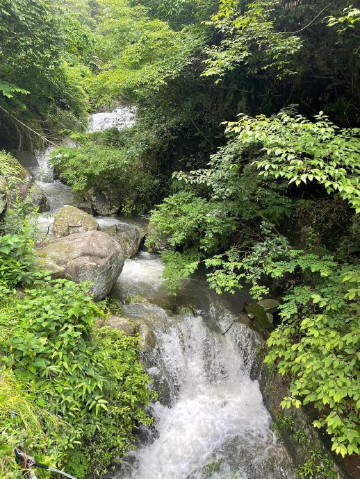 2026年6-9月去莫干山泡私汤避暑合适吗？