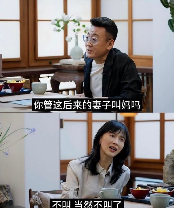 窦文涛对papi酱继母称呼观点直呼不可思议