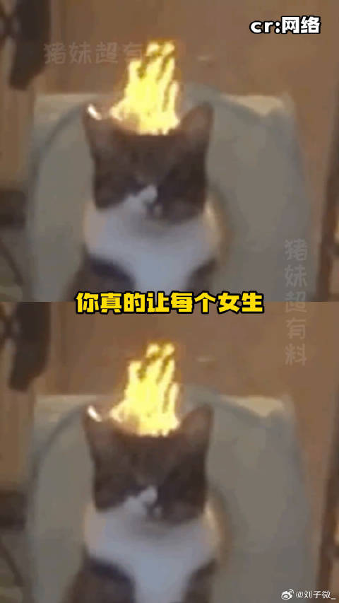 女装你自己来看看阴不阴！雷霆 穿搭 微博VC计划