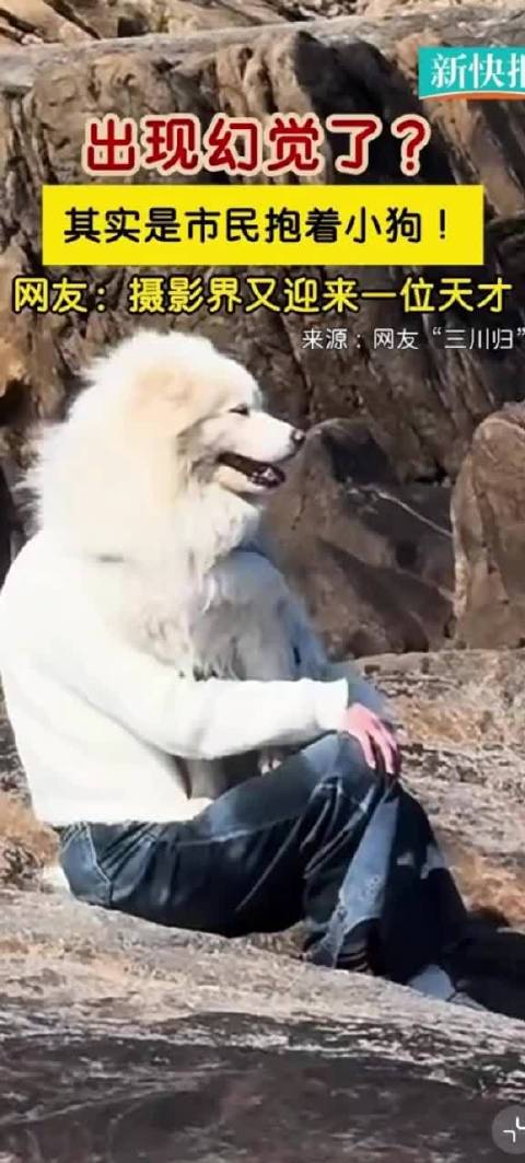 动物脸人身受追捧，人脸动物身遭嫌弃