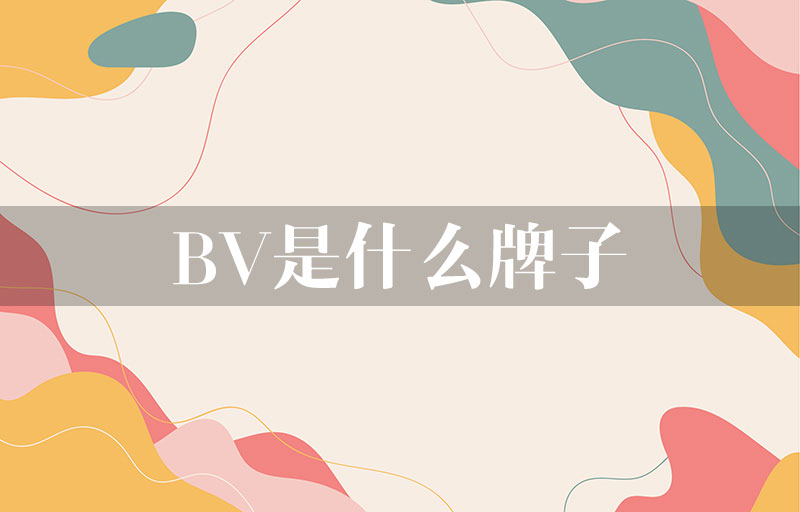 BV是什么牌子? - 爱长草