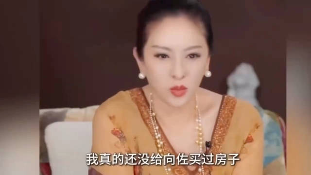 向太：我买房子只写郭碧婷的名字 向佐只有居住权
