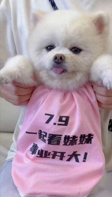 这种萌宠好友联动剧宣效果真的好吗？