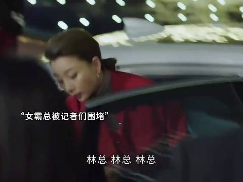 实习生失误酿成重大公关危机，女霸总强势下场护犊子 殷桃 吴谨言