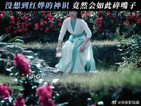 小叶子你这么话痨，你家君上知道吗？