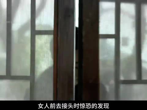 明楼为姐报仇当众枪杀76号特务