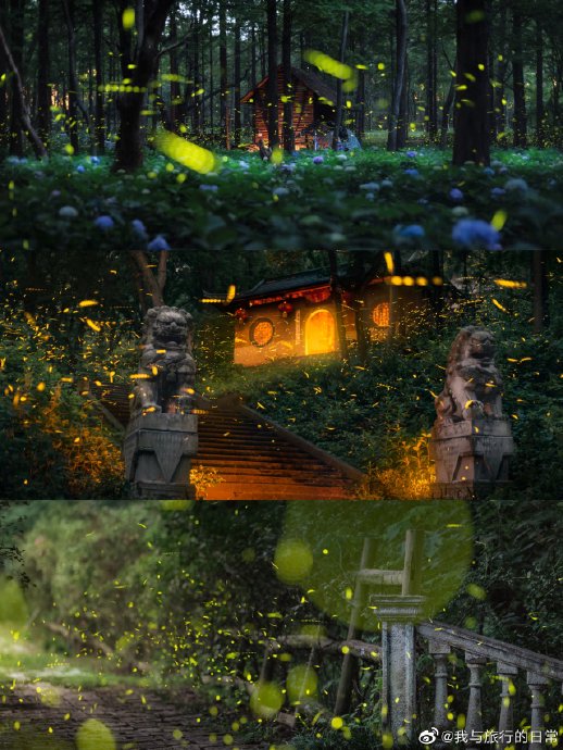 南京夏夜看萤火虫需要预约入场吗？