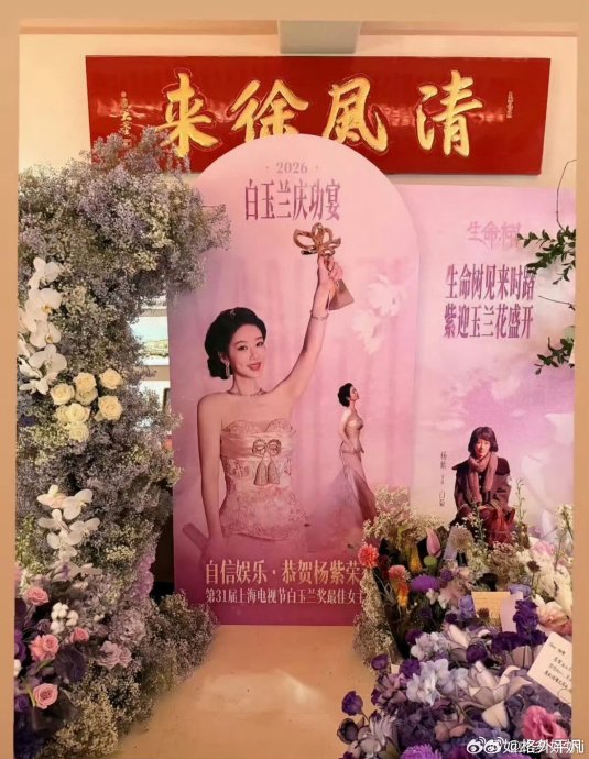 杨紫四次提名白玉兰，每次提名作品都是什么？