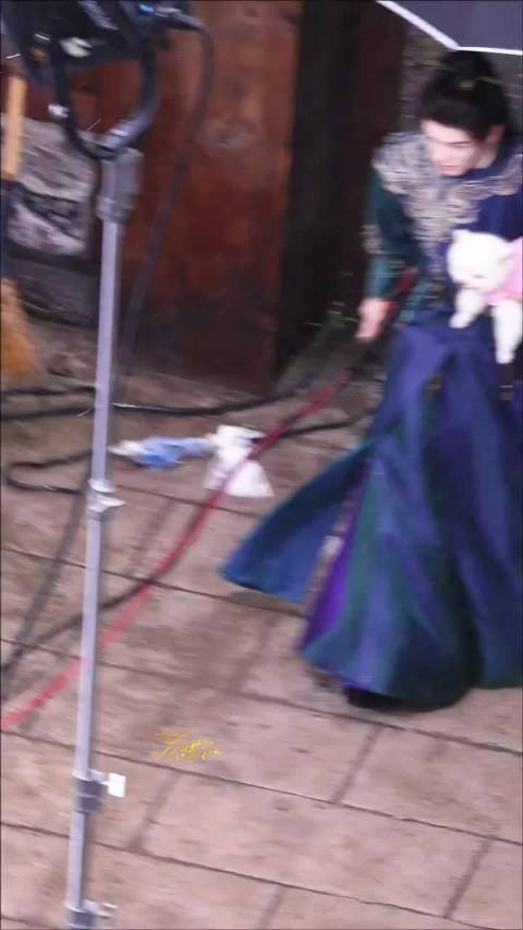孟子义爱犬巧克力探班曾舜晞,获抱入剧组
