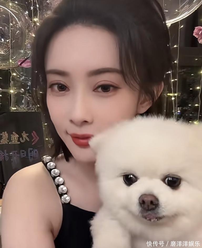 孟子义的狗“塌房”了!曾舜晞房车成案发现场,全网笑出声