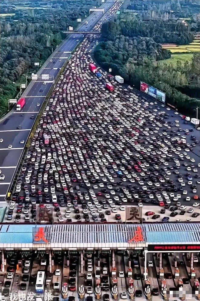 2026年买车必看!10万预算最省油的10款车，实测数据比销售嘴靠谱|油耗|朗逸|轩逸|发动机|比亚迪秦_订阅