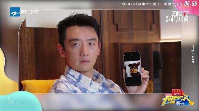 郑恺智齿发炎脸肿，模仿蜜蜂小狗表情包