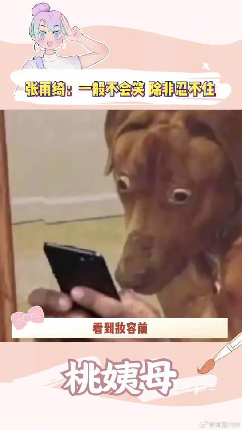 你别说你还真别说张雨绮 化妆师
