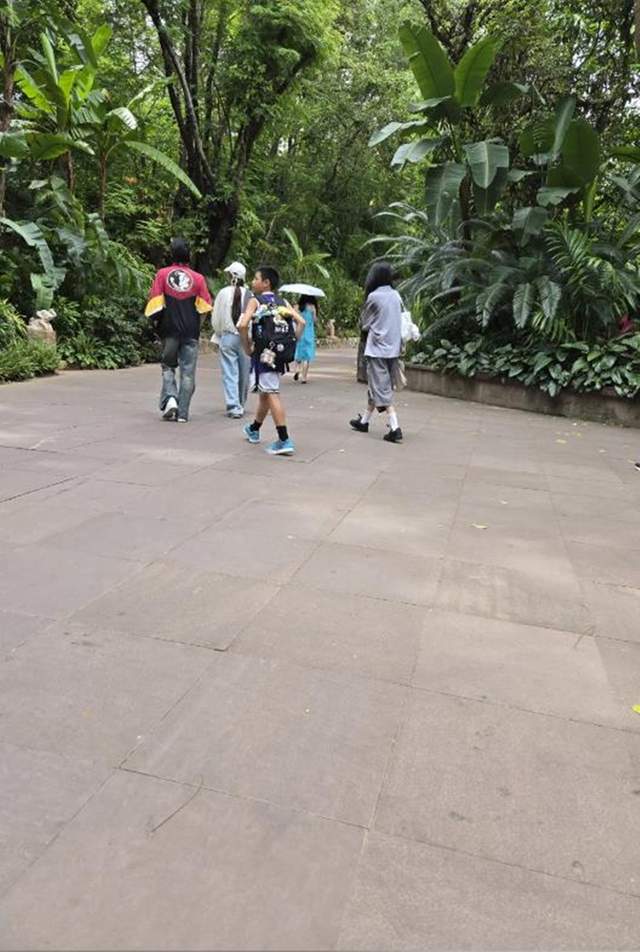 向佐陪岳父一大家度假，一次给郭碧婷买8个包，顾家的样子太帅了