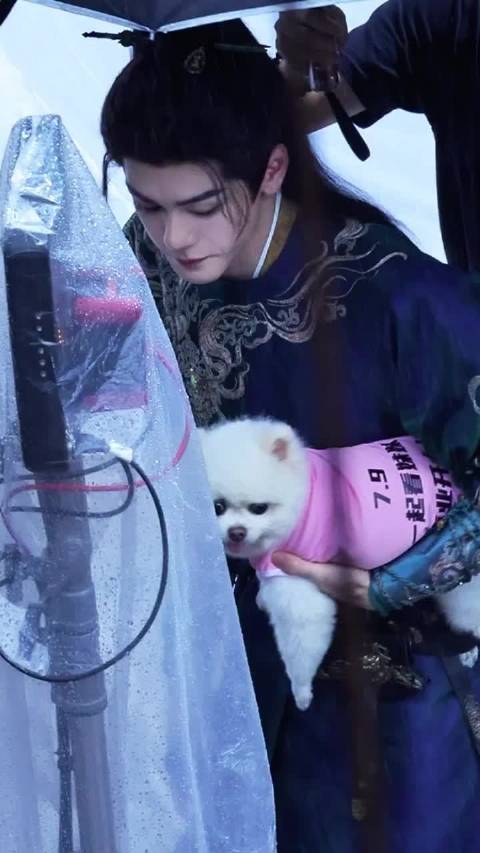 哈哈哈哈孟子义的好哥哥巧克力给将门独后剧组送奶茶了 其实是曾舜晞啦