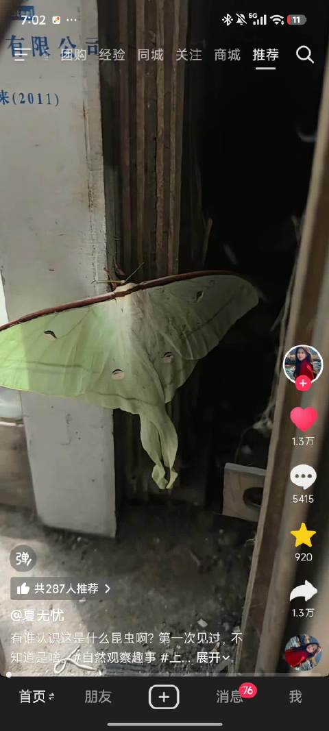 诶呦我，这么巨大的昆虫，诶呦我  诶呀我