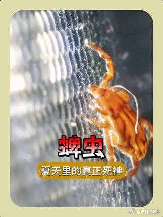 豪斯医生：夏天的头号杀手，竟不是蚊子！