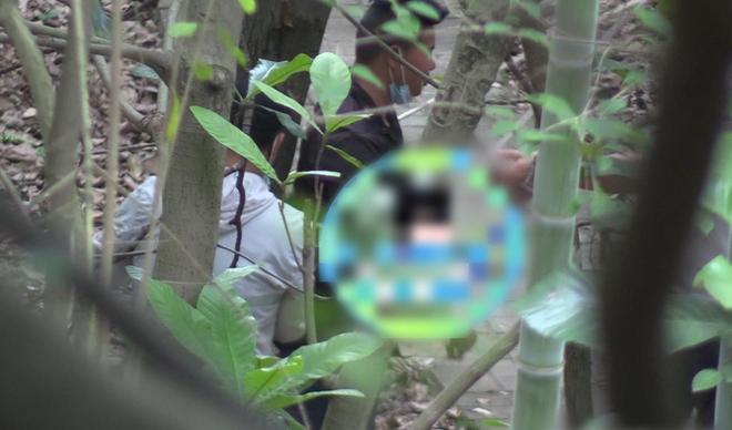 鞠婧祎剧组惹争议！将代拍绑在树上，现场引起冲突