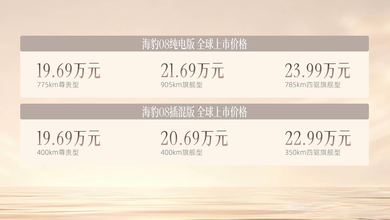 标配云辇-A+天神之眼B，比亚迪海豹08上市19.69万元起