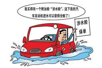 车辆涉水险[水淹致发动机损失而赔偿的险种]