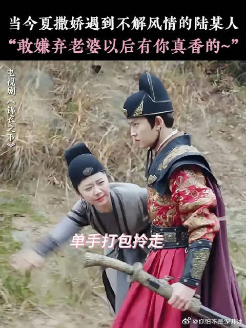 没有公主抱有公主拎平替
