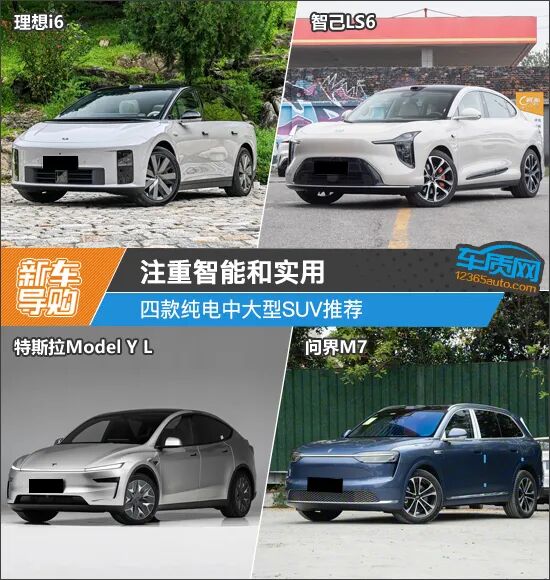 注重智能和实用 四款纯电中大型SUV推荐
