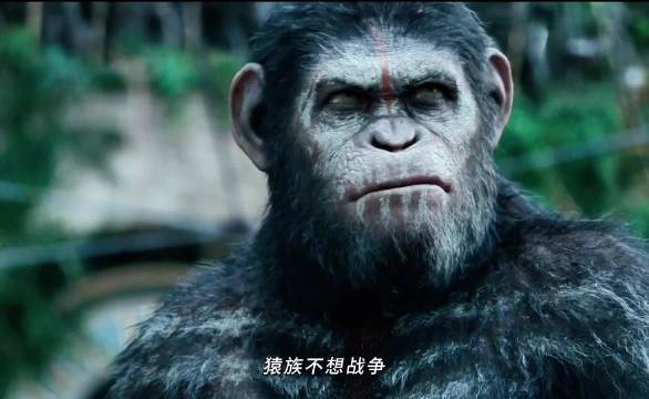 猩球崛起开启新的篇章，矛盾升级后的人类和猿类能否再次共存？