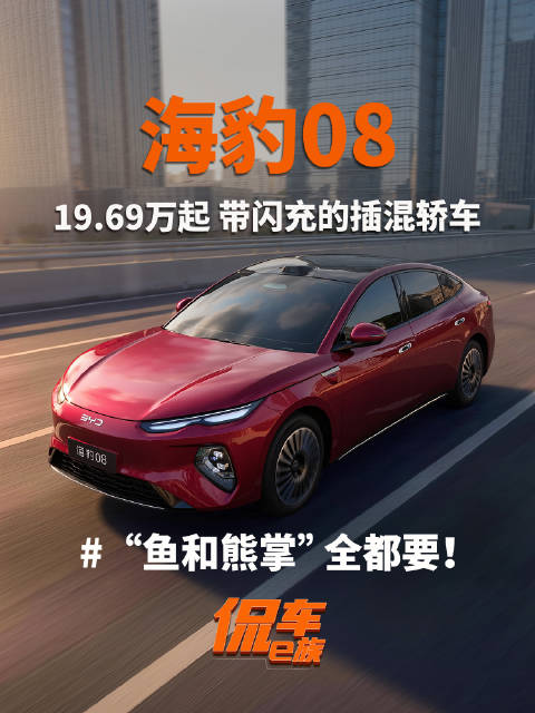 19.69万起！带闪充的插混轿车 海豹08 “鱼和熊掌”全都要！