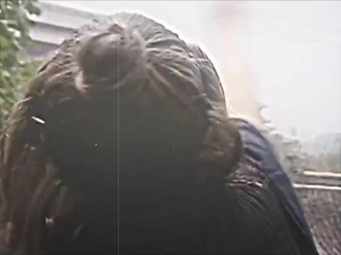 田蚡不一定是个好丞相，但一定是个好舅舅 汉武大帝