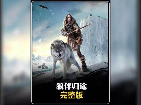 少年与孤狼荒野求生，跨越险境谱写共生传奇