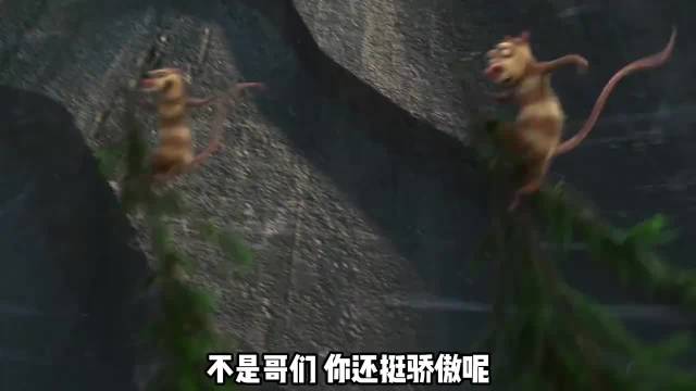 《冰川时代4》：好想这样丢掉脑子，纸张一样地活着 冰川时代｜动漫｜动画