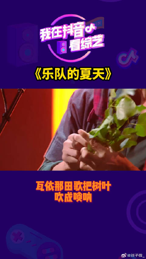 瓦依那《田歌》，把树叶吹成唢呐，这是什么武侠小说中的绝技微博VC计划