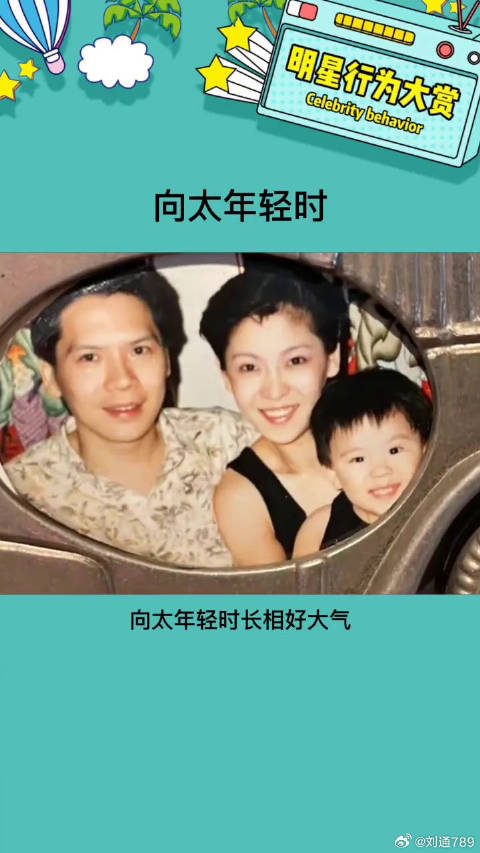 不愧是大哥的女人，娱乐评论大赏