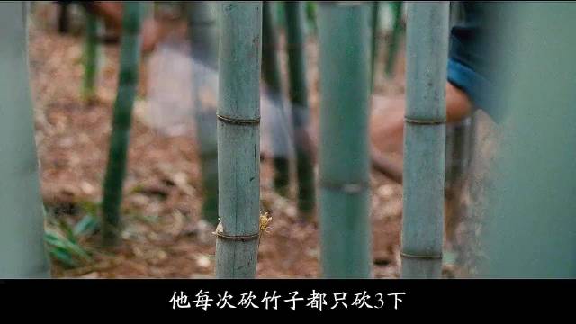 十八分钟深度解析甄子丹《武侠》他本是隐世高手，却受尽欺辱