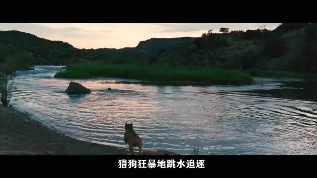 奥斯卡获奖影片《老无所依》解析旧体系在暴力面前失效