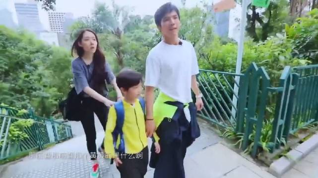 向佐郭碧婷携子游动物园，高颜值全家引游客驻足