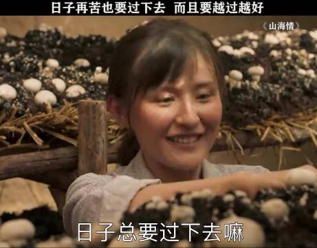 日子总是要过下去的，要越过越好，水花也做到了 山海情|好剧推荐