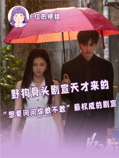 剧集推广 敢不敢直面追问