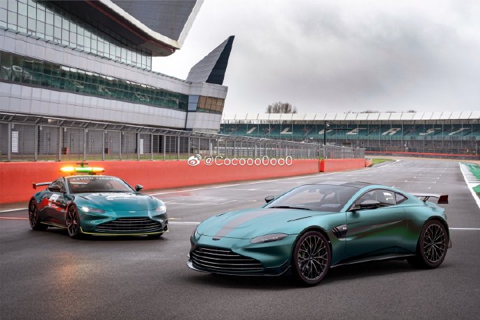 阿斯顿马丁Vantage F1 Edition的外观有哪些独特之处？