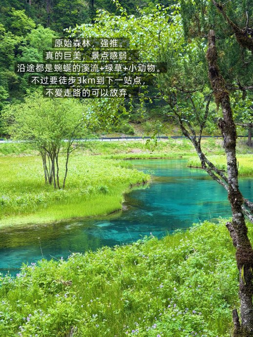 九寨沟景区内的交通方式有哪些？