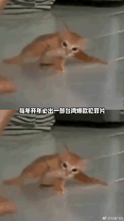 为父洗冤、硬核追凶，湾湾爽片《搜查瑠公圳》来了！电影搜查瑠公圳