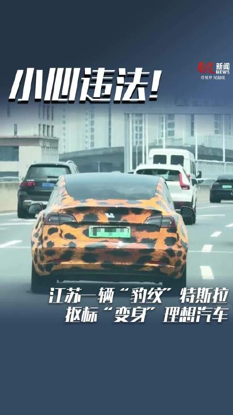 江苏一辆“豹纹”特斯拉抠标“变身”理想汽车