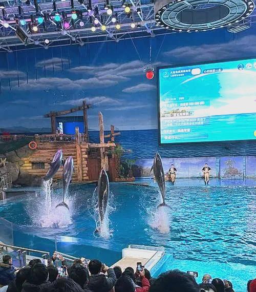 老虎滩海洋公园的六家主题餐厅及其独特魅力