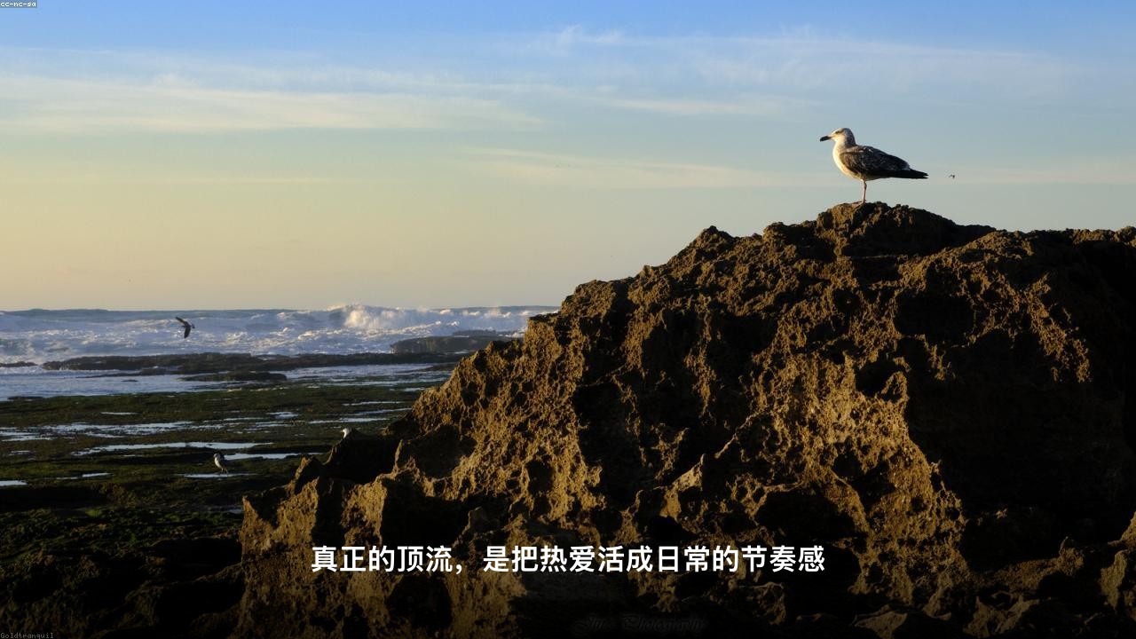 陈楚生苏醒张远陆虎一起看球火了, 你怎么看?