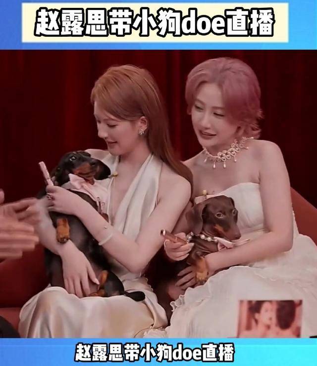 赵露思怎么火的？从网红到一线顶流，她凭啥这么牛？